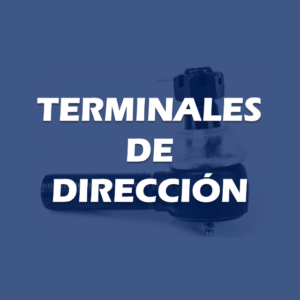 TERMINALES DE DIRECCION